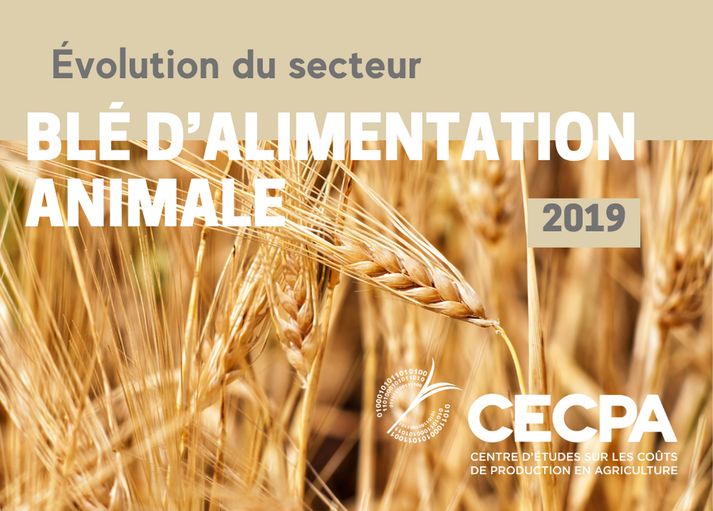 Pour les partenaires : ÉVOLUTION DU SECTEUR - BLÉ D'ALIMENATTION ANIMALE 2019